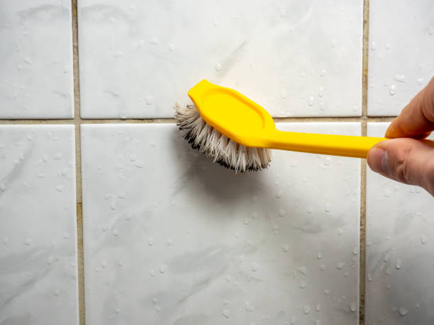 Best Emergency Mold Removal  in West Covina, CA