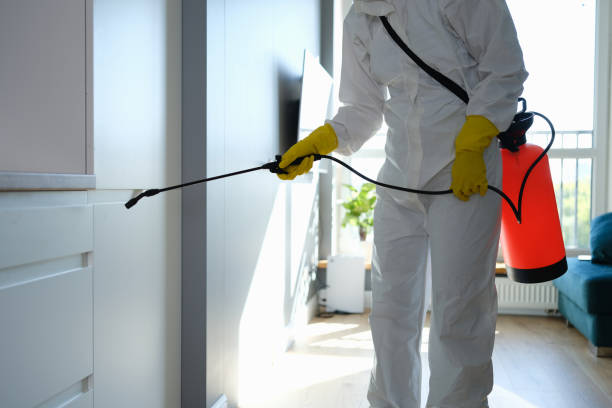 Best Fast Mold Removal  in West Covina, CA