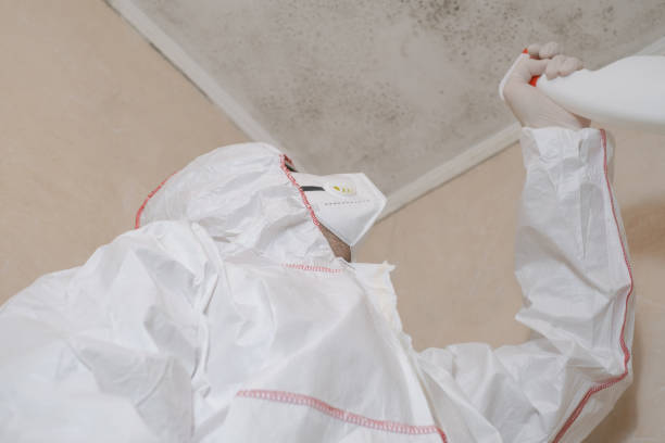 Best Toxic Mold Removal  in West Covina, CA