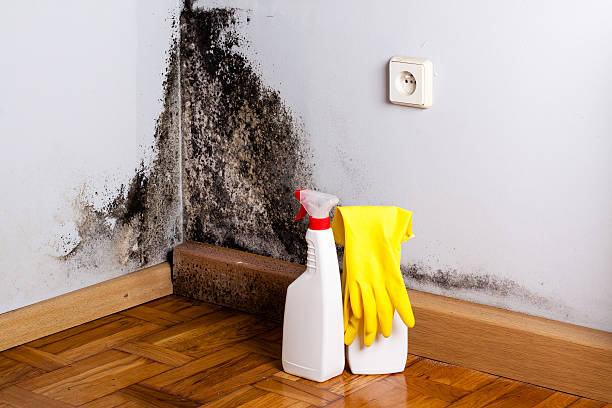 Best Crawl Space Mold Removal  in West Covina, CA
